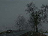 A Foggy Winter View of a Car Driving Down Highway 11