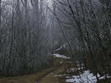 A Winter View of a Trail in Shenandoah National Park