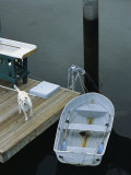 A Dog Waits on a Dock Near a Small Row Boat