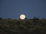 The Moon Shines over a Landscape