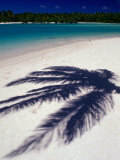 The Shadow a Palm Leaf on the White Sand of One of Aitutaki Lagoon's Many Islands  Cook Islands