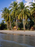 Bungalows Under Palms of Hat Kaibae  Thailand