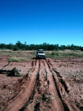 Landrover Driving Over Dry River Bed  Matusadona National Park  Mashonaland West  Zimbabwe