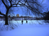 Cross-Country Skiers Crossing Great Lawn in Central Park  New York City  USA