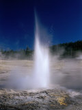 Plume Geyser in the Old Faithful Area  Yellowstone National Park  Wyoming  USA