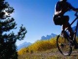 Mountain Biker in Autumn  Canmore  Canada
