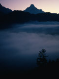 Fish Tail Mountain Above a Layer of Cloud  Pokhara  Gandaki  Nepal
