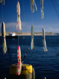 Fishing Lures Hanging with Ocean Behind  Cape Cod  Massachusetts  USA