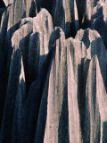 Stone Forest Kunming  Yunnan  China