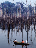 Amazon River: the 