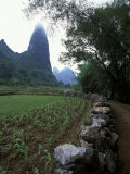 Rock Wall and Farm Fields Along the Li River  Guilin  Guangxi  China