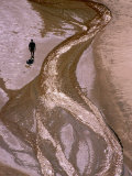Hiker Walking along Telok Panden Kecil in Bako National Park  Sarawak  Malaysia