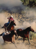Cowboy Roping Horses