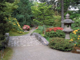 Japanese Garden  Washington
