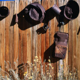 Rusted Pots and Pans from the Cerro Gordo Mine  Inyo National Forest  California  USA