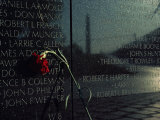 Carnation Left at the Vietnam Veterans Memorial