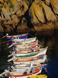 Row of Fishing Boats Moored in a Small Harbour Near Plouhinec  Cape Sizun  Brittany  France