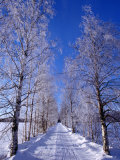 Snow on Country Road  Liminka  Finland