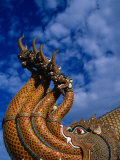 Statue of Dragons  Tokyo  Japan