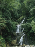 Waterfall Cascading down Rock in a Lush Woodland Setting