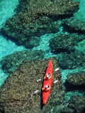 Kayakers Paddle on the Clear Waters of the Gulf of California