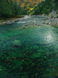 Sport Fisherman Fishing a Salmon River in the Fall