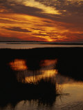 Sunset over a Salt Marsh with Cordgrass