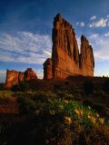 Courthouse Towers with Wildflowers in Foreground  Arches National Park  USA