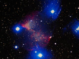 Stars