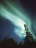 Brilliant Display of Auroral Lights