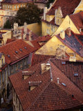 Rooftops of Houses  Prague  Czech Republic