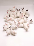 Group of Rabbits
