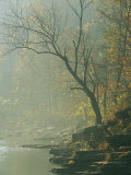 Creek Runs Through Blue Hole Campground