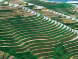 Water Field Rice Terraces in the Mountains  Long Ji  China