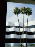 Beverly Hills  California  USA