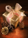 Christmas Gift with Gold Ribbon and Pinecones