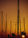 Sunset and Boat Masts  Ventura Harbor  CA