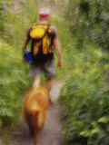 Blurred Image of a Hiker and Dog on a Trail