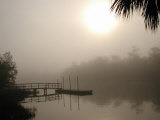 Steinhatchee River  Florida