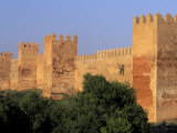 Sunlit Walls of 14th Century Chellah  Morocco