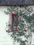 Traditional Cottage  County Mayo  Ireland