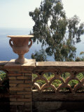 Public Garden of Taormina  Sicily  Italy