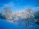Record Snow in Louisville  Kentucky  USA