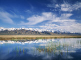 Ruby Mountains and Slough along Franklin Lake  UX Ranch  Great Basin  Nevada  USA