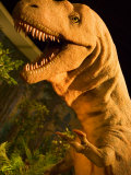 Royal Tyrrell Museum of Palaeontology  Drumheller  Alberta  Canada