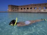 Swimmer at Fort Jefferson  Garden Key  Dry Tortugas  Florida  USA