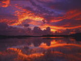 Dawn at Nine Mile Pond  Everglades National Park  Florida  USA