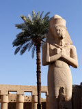 Ramses II Statue and Palm Tree at the Karnak Temple  Egypt