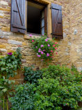 Window of Limestone House  Olingt  Burgundy  France