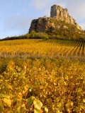 Roche de Solutre above Vineyards  France